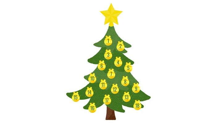 Ilustrační obrázek 231211_FN_strom_prani