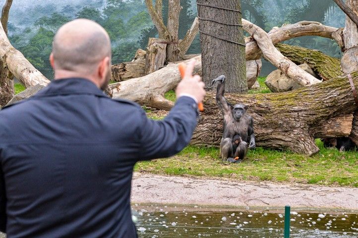 Křtiny mláděte šimpanze učenlivého v plzeňské zoo (fotografie: M. Pecuch) 240328_Krtiny_simpanz_3