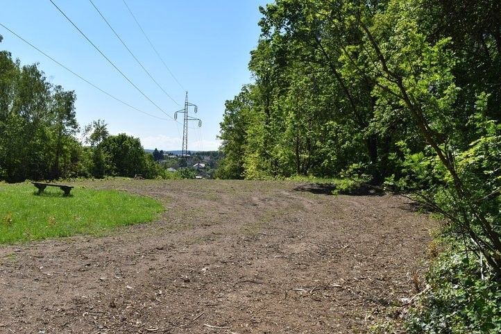 Louka pod elektrickým vedením v Borském parku. Fotografie: M. Pecuch, M. Krausová 240514_louka_borsky_park_03