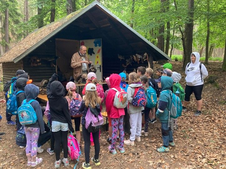 Den lesa (zdroj fotografií: Správa veřejného statku města Plzně) 240517_Den_lesa_2