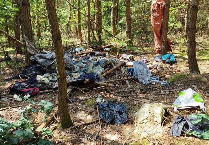 Zdroj fotografií: Správa veřejného statku města Plzně 240726_Les_uklid_odpad