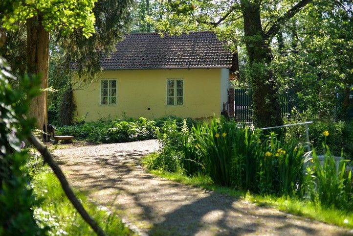 Před bouráním stavby (fotografie: M. Pecuch) 240829_Luftova_zahrada_4