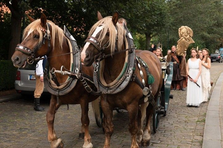 Fotografie: I. Štěrbová 240829_Vendelin_1