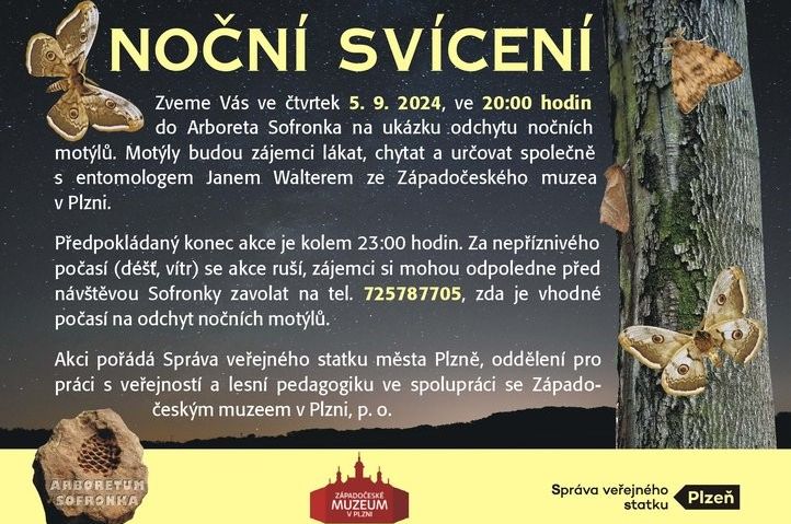 Sofronka zve na noční motýly. Foto: Jan Walter 240903_motyly_sofronka_plakatek