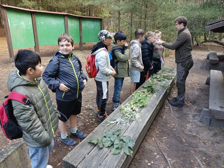 Zdroj fotografií: Správa veřejného statku města Plzně 240924_Den_lesa_2