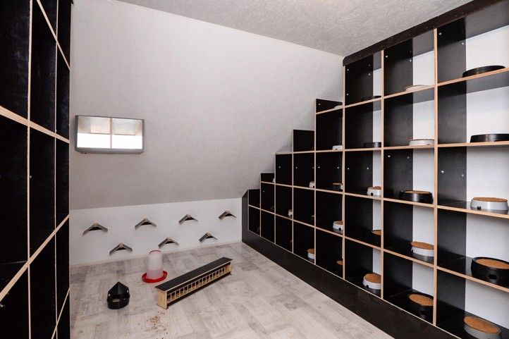 Fotografie: M. Pecuch 241010_Holubnik_2