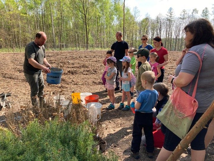 Zdroj fotografií: Správa veřejného statku města Plzně 241023_Den_lesa_2