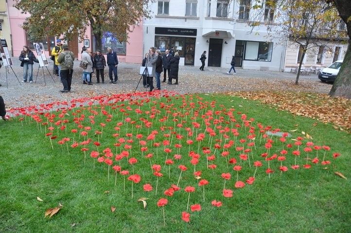 Symbolické makové pole. 241111_veterani_06