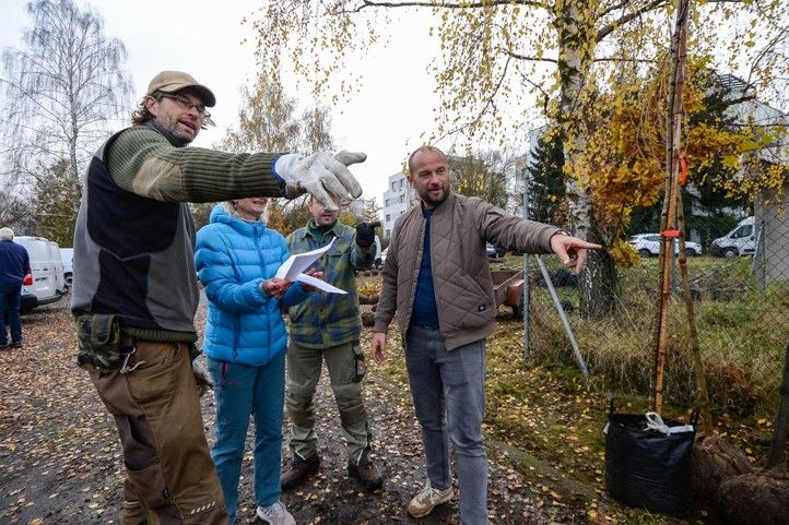 Fotografie: M. Pecuch 241118_Dreviny_stromy_5