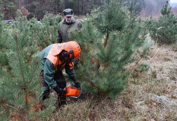 241203_SVS_Vanocni_stromecek_ryby_1