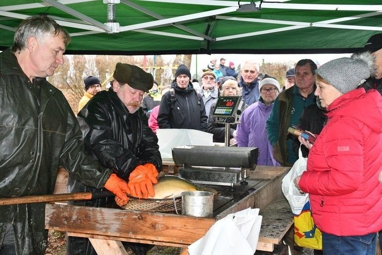 U Košináře začal prodej ryb na štědrovečerní stůl. Fotografie: R. Žáková 241219_prodej_ryb_01
