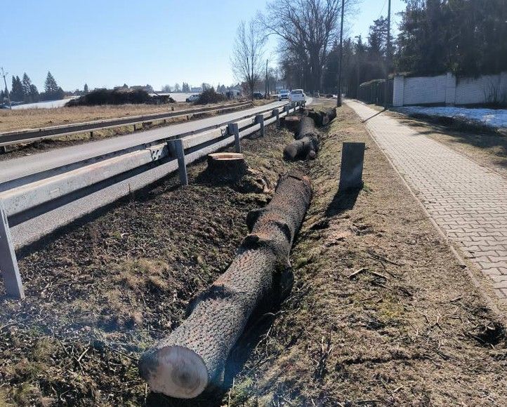 250221_Vysluni_kaceni_stromy_2