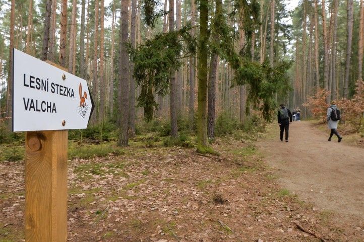 Ilustrační foto 250328_Lesni_stezka_Valcha_deti_3