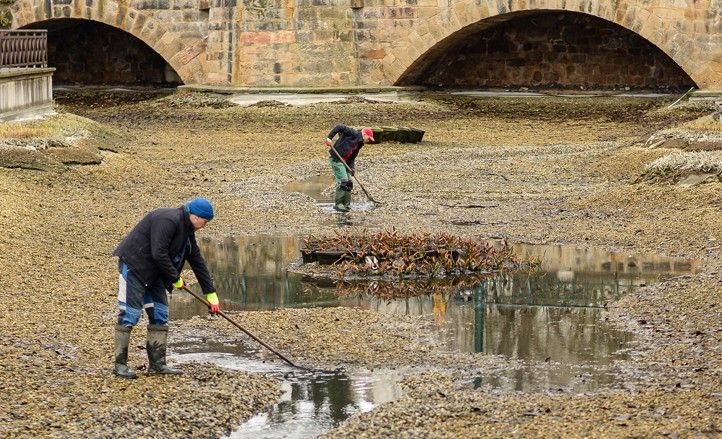 250331_Mlynska_strouha_2