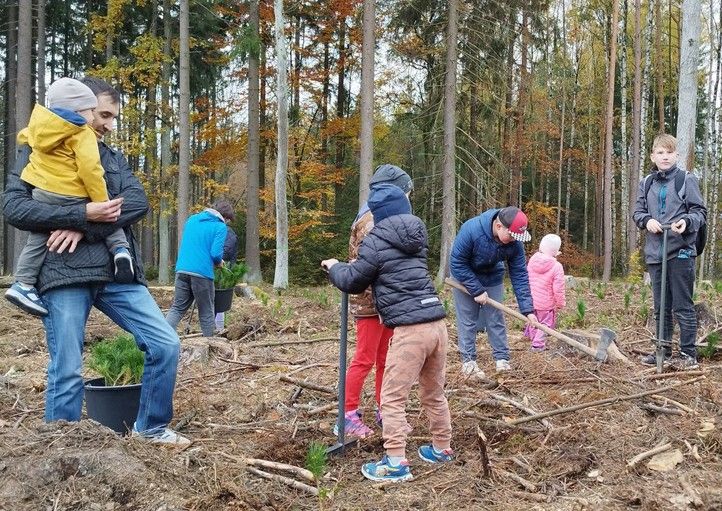 Ilustrační foto 250404_Den_pro_les_1