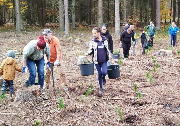 Zdroj fotografií: Správa veřejného statku města Plzně 250404_Den_pro_les_2