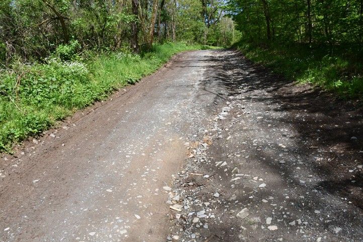 Cesta na Dubové hoře - současný stav (fotografie: R. Žáková) 250505_Cesta_Dub_Hora_Puvodni