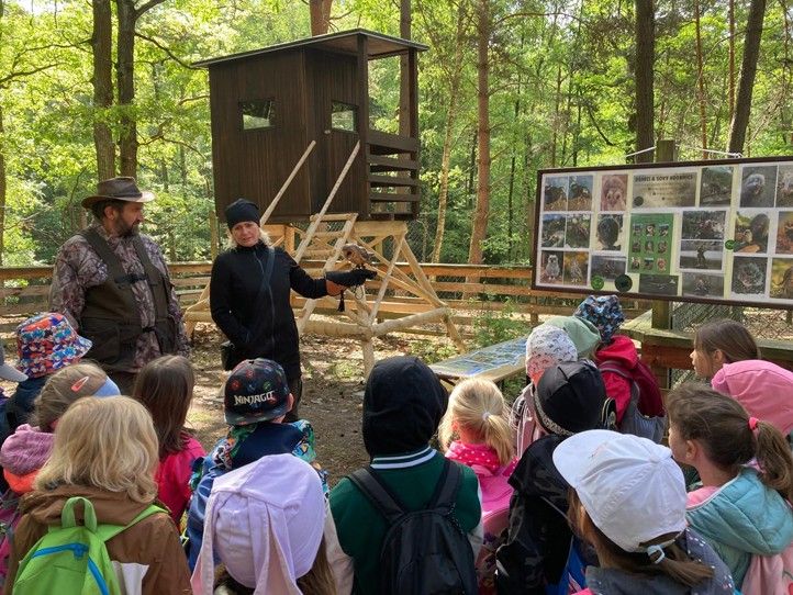 Zdroj fotografií: Správa veřejného statku města Plzně 250516_Sofronka_Den_lesa_5