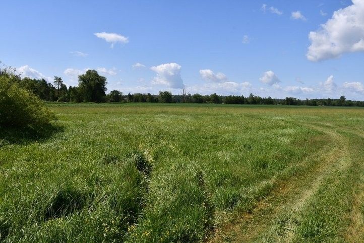 Začíná stavba úseku greenway z Malesic do Města Touškova. Fotografie: M. Klas 250605_cyklostezka_mze_01
