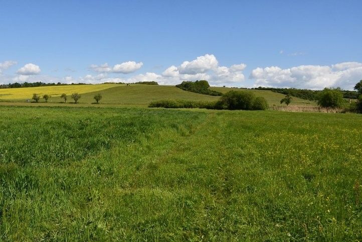 Začíná stavba úseku greenway z Malesic do Města Touškova. Fotografie: M. Klas 250605_cyklostezka_mze_04