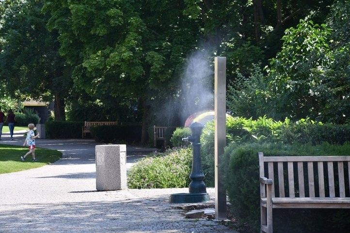 Mlžítka osvěží v horkých dnech. Fotografie: R. Žáková 250612_mlzitka_01