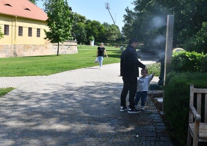 Mlžítka osvěží v horkých dnech. Fotografie: R. Žáková 250612_mlzitka_04