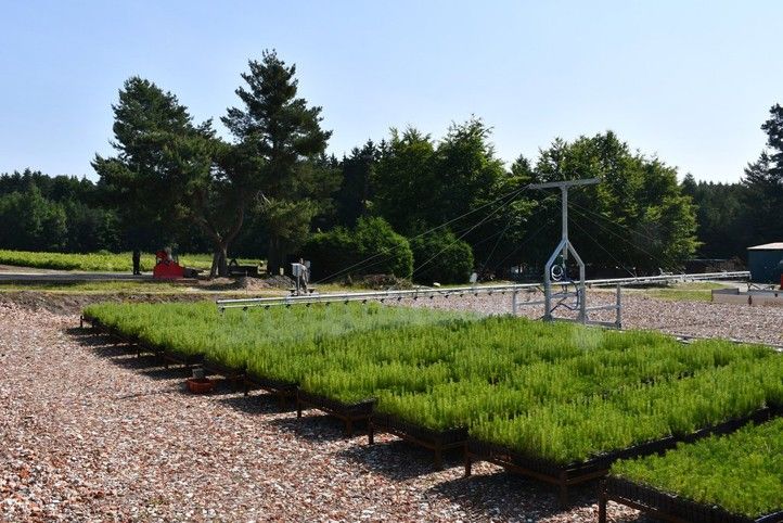 Mostová závlaha (fotografie: R. Žáková) 250702_Mostova_zavlaha_3