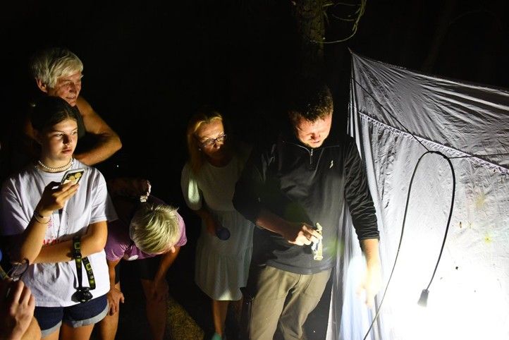 Ilustrační fotografie: R. Žáková 250821_Motyl_Sofronka_1