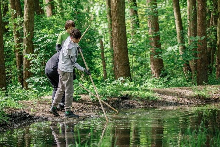 Zdroj fotografií: Skautský institut 250929_Les_uklid_17_zs_3