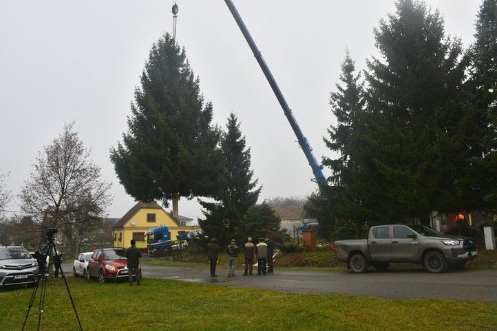 251112_Vanocni_strom_svoz_5