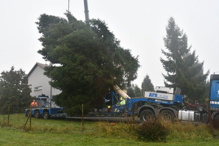 251112_Vanocni_strom_svoz_6