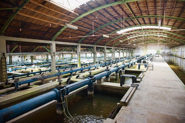 251223_Chabal_Vodarna_1