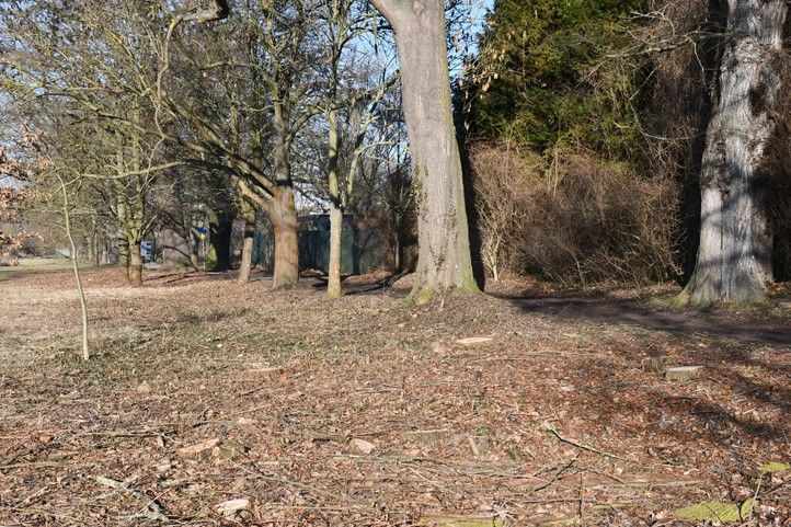 260313_Stromy_Kilometrovka_4