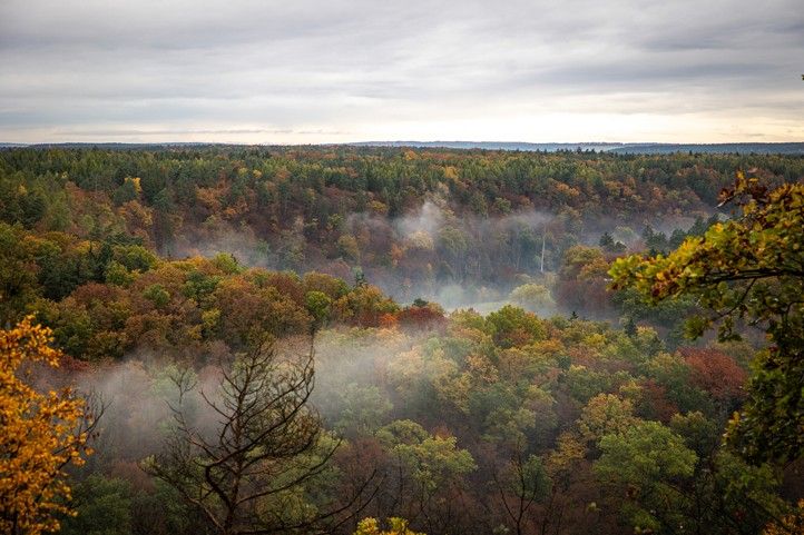 Fotografie: K. E. Hessová 260319_Milan_Sekac_les_3