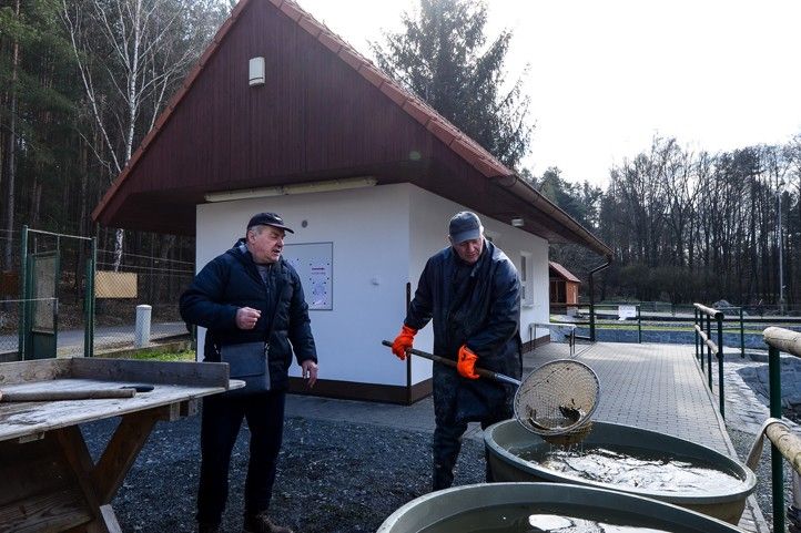 Ilustrační fotografie (zdroj: Správa veřejného statku města Plzně) 260326_Ryby_sadky_prodej_2