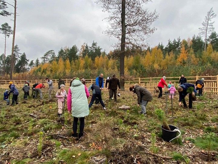 Zdroj fotografií: Správa veřejného statku města Plzně 260327_Sazeni_lesa_1