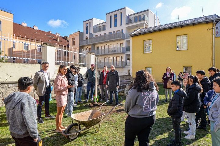 Zdroj fotografií: město Plzeň 260330_Sezeni_stromu_2