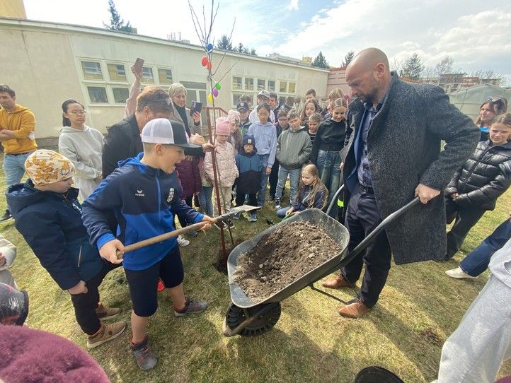 Zdroj fotografií: město Plzeň 260330_Sezeni_stromu_3