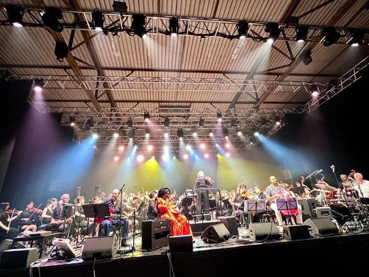 Zdroj fotografií: Konzervatoř Plzeň 260729_Limoges_filharmonie_2