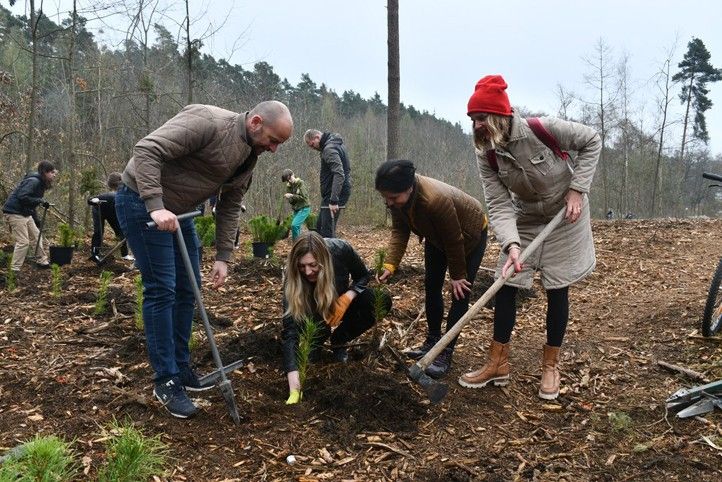 Fotografie: R. Žáková 261026_Sazeni_lesa_1